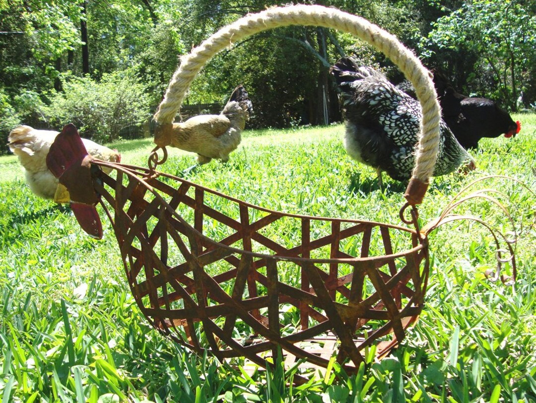 Large Rusty Chicken Egg Basket Centerpiece Farmhouse Shabby Chateau
