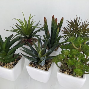 Set of mixed succulents in ceramic pots, faux succulents, artificial mixed succulents, succulents home decor, succulent arrangement
