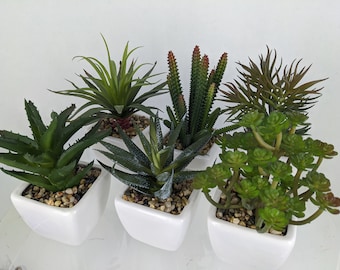 Set of mixed succulents in ceramic pots, faux succulents, artificial mixed succulents, succulents home decor, succulent arrangement