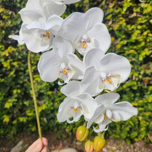 44&quot; Soft touch phalaenopsis orchid stem, artificial orchid, rubber orchid, real feel faux orchid, artificial white orchid plant, diy orchid