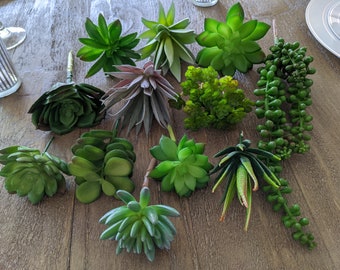 Set of 12 mixed succulents, faux succulents, artificial mixed succulents, succulents for arrangements, diy succulents, succulent arrangement