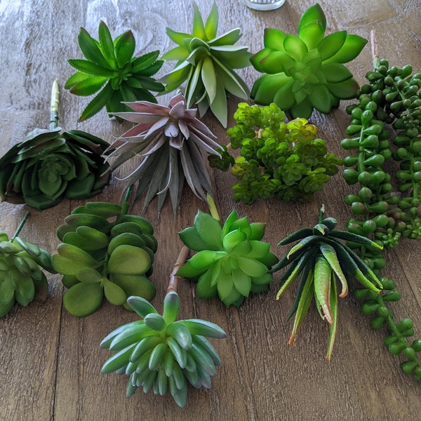 Set of 12 mixed succulents, faux succulents, artificial mixed succulents, succulents for arrangements, diy succulents, succulent arrangement