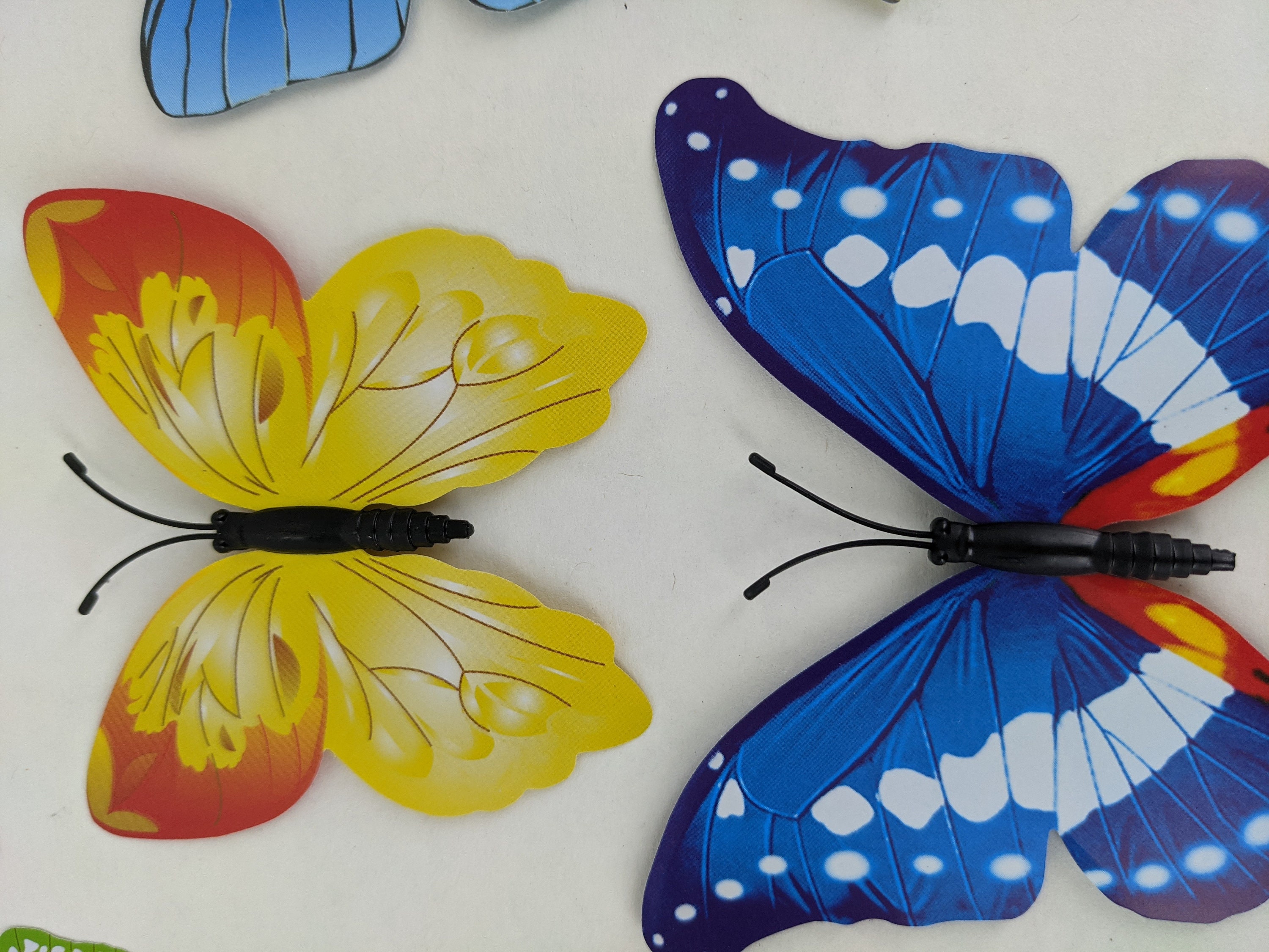 12 Rainbow Craft Butterflies, Craft Butterflies, Butterflies for