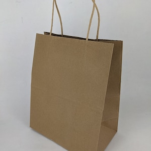 12- 10" biodegradable paper craft bags, gift bags, party favor bags, kraft bags, brown paper bag, sample favor bags, biodegradable bags