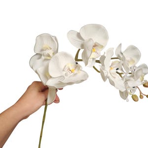 30&quot; soft touch luxury orchid stem, artificial orchid, rubber orchid, real feel faux orchid, artificial white orchid plant, soft touch orchid