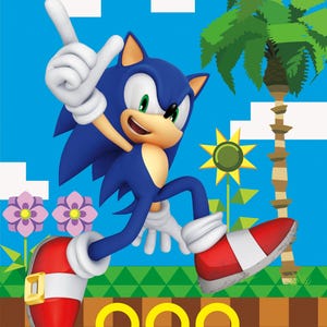 Sonic party favor loot bags, sonic the hedgehog, sonic party supplies, Sonic birthday, boy party ideas, licensed by UNIQUE INDUSTRIES