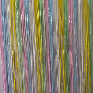 Pastel rainbow matte Fringe curtain, party backdrop, photo booth, ice cream party