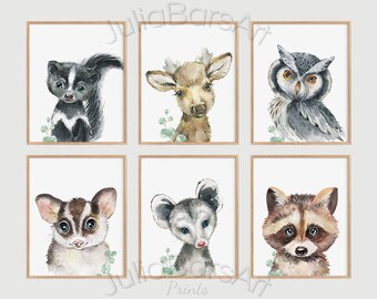 Woodland Animals Printable Art, Baby Animals Nursery Wall Art, Raccoon, Opossum, Sugar Glider, Owl, Set of 6 Prints, Cute Forest Animals