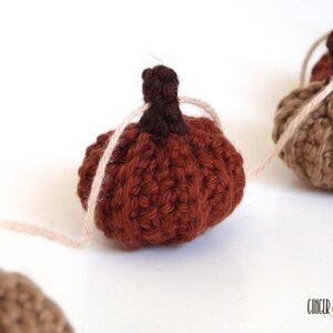 DIGITAL PATTERN Rustic Mini Pumpkin Garland with Beads Crochet Pattern image 8