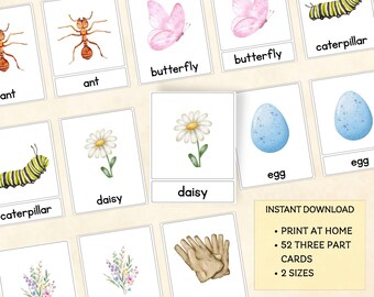 Montessori Three Part Cards | Spring Alphabet Preschool Printable