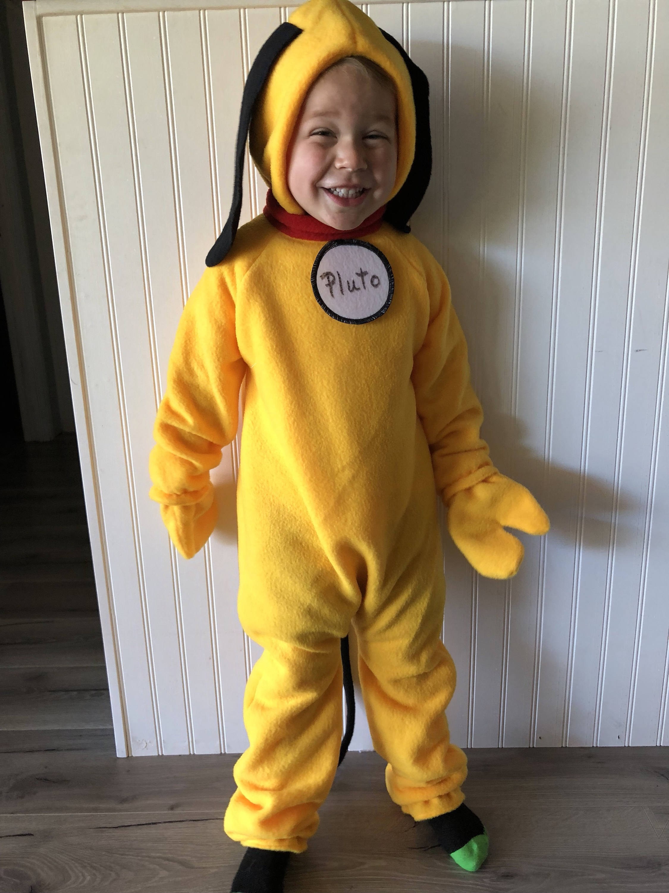 Yellow Dog Costume