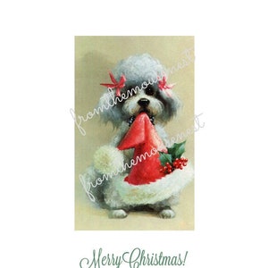 Santa poodle with hat-Downloadable-Printable Digital Art Image -Instant Download