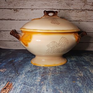 May include: A ceramic serving bowl with a lid, featuring a brown and white mushroom design. The bowl has a rounded shape with a pedestal base and two handles.
