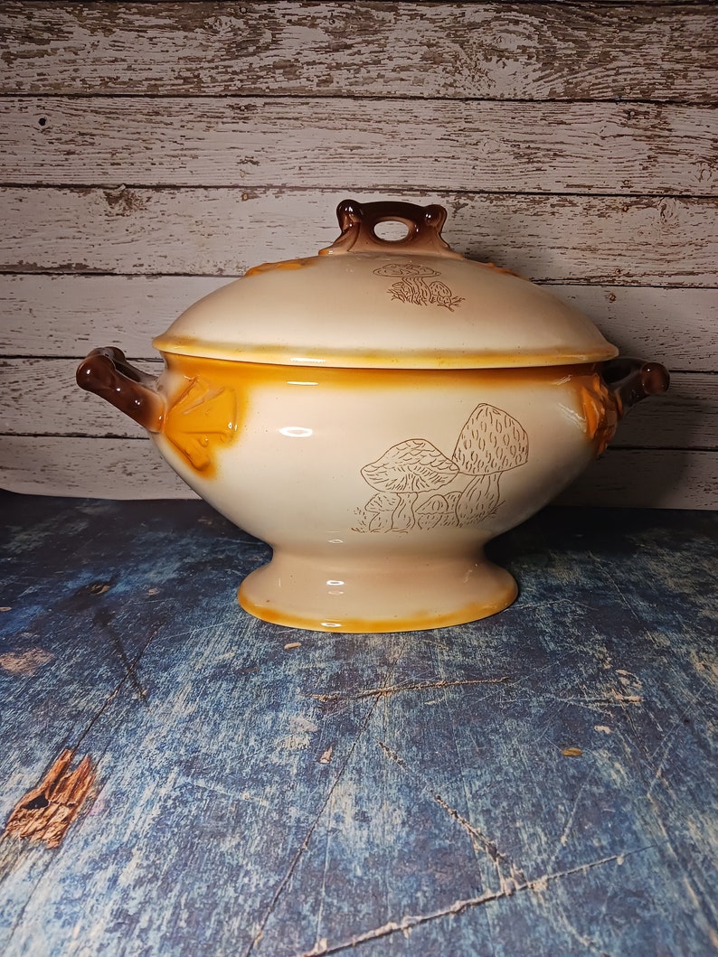 May include: A ceramic serving bowl with a lid, featuring a brown and white mushroom design. The bowl has a rounded shape with a pedestal base and two handles.