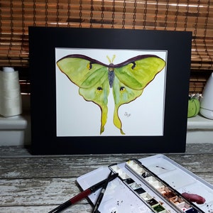 Luna moth watercolor-giclee print from original watercolor painting-butterfly