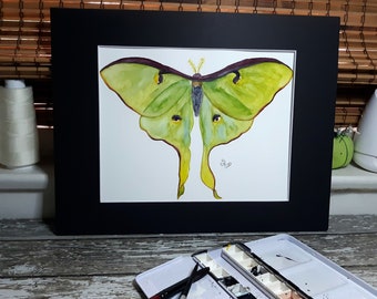 Luna moth watercolor-giclee print from original watercolor painting-butterfly