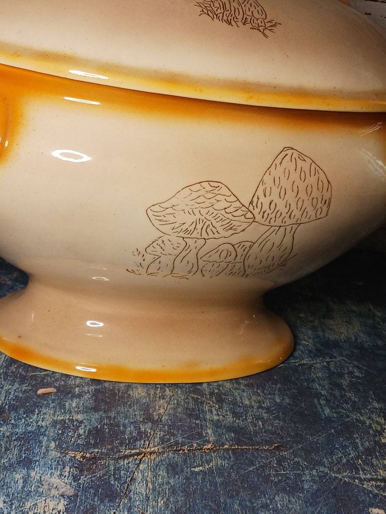May include: A beige ceramic serving bowl with a brown mushroom design. The bowl has a lid and a wide base.