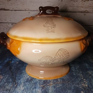 May include: A ceramic serving bowl with a lid, featuring a mushroom design in brown and white. The bowl has a brown rim and a brown handle on the lid.