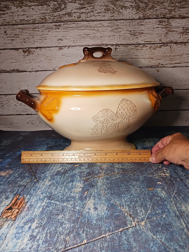 May include: A large, cream-coloured ceramic serving bowl with a lid. The bowl is decorated with a brown mushroom design. The bowl is sitting on a blue wooden surface.