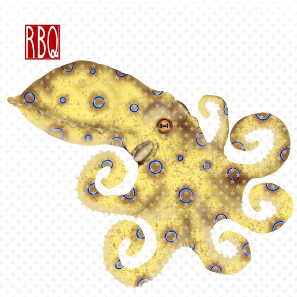Blue ringed octopus, octopus art image, poisonous octopus, Kraken clip art, PNG with no background, Hand Drawn Art Octopus, Digital Download