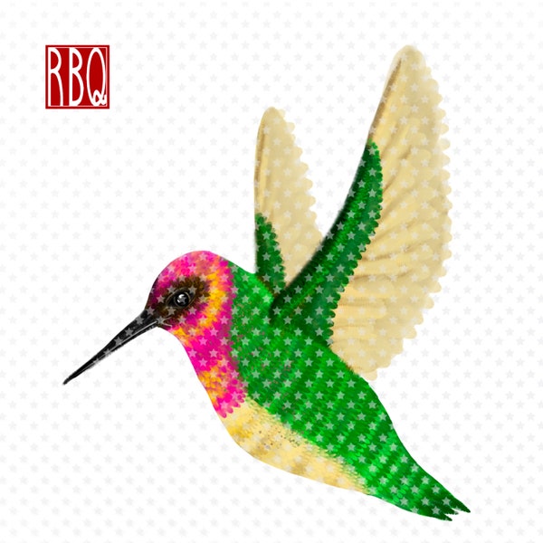 Hummingbird, Ruby throated hummer, hummingbird flying, bird clip art, PNG with no background, Hand Drawn Art Hummingbird, Digital Download