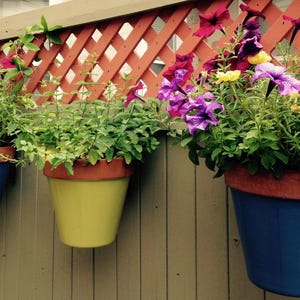 Peut inclure: Trois pots de fleurs coniques en bleu, vert lime et bleu foncé, chacun doté d'un rebord couleur terre cuite. Les pots sont remplis de pétunias violets, roses et jaunes éclatants ainsi que de feuillage vert, fixés sur une clôture en bois.