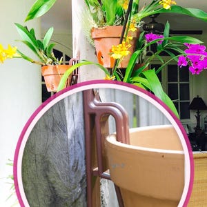 Hangapot Orchid Pot Hangers: Vertical Garden Display for 4-10" Clay Pots