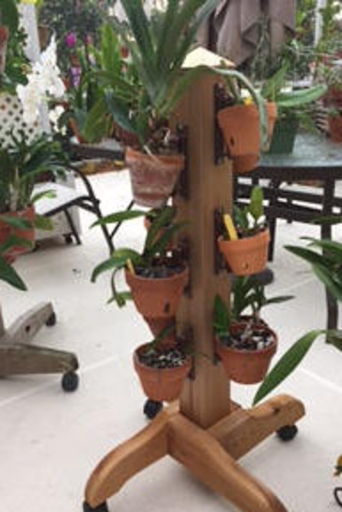 Amish made 3.5 Cedar rolling plant stand. Vertical garden Etsy