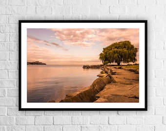 Edgewater Strand Baum, Fine Art Print, Edgewater, Wandkunst, Farbe Fine Art Foto, Cleveland Kunstdruck, Winter Schnee Druck, Wahrzeichen von Cleveland