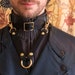 Luxury BDSM Collar: Paraphilia Signature Bondage Collars / Bridle Leather and Solid Brass 