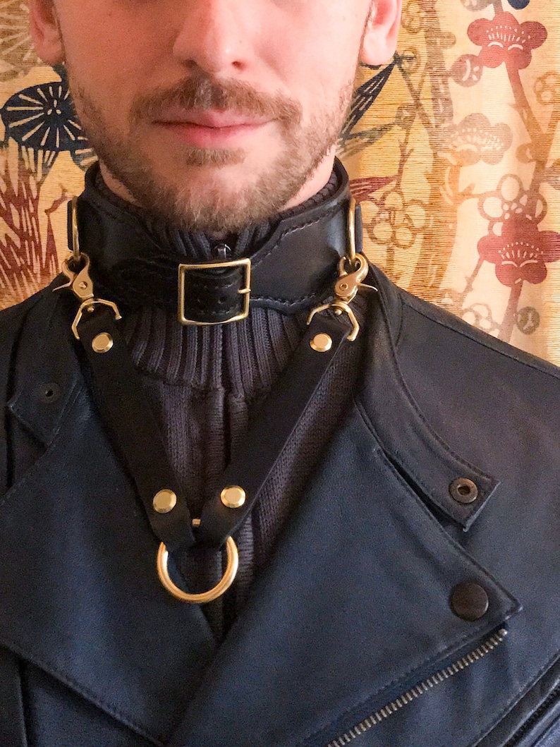 Luxury BDSM Collar: Paraphilia Signature Bondage Collars / Bridle Leather and Solid Brass 