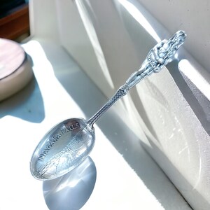 Peut inclure: Une cuillère souvenir en argent avec une représentation des chutes du Niagara et les mots "NIAGARA FALLS" sur le bol. Le manche est orné d'une figure stylisée.