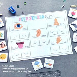 Five Senses Printables as Downloadable Toddler Activities. Body Parts