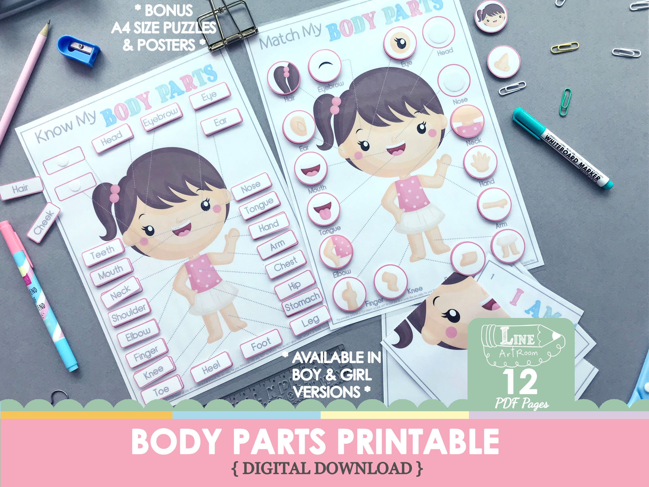 Body Parts Printable as Downloadable Toddler Activities. Montessori Human Body. Homeschool ...