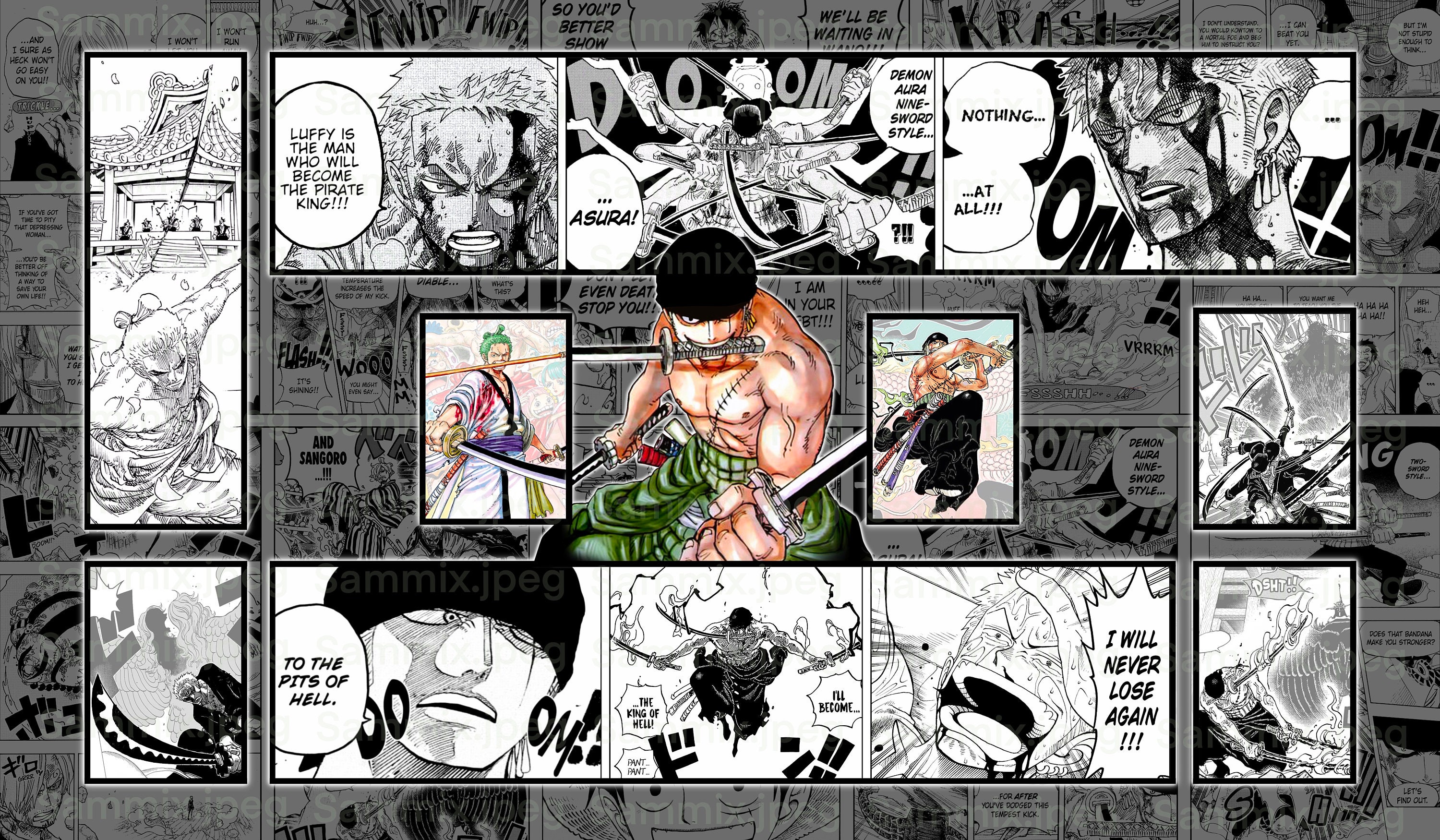 アートファイルのみ ゾロ ワンピース TCG プレイマット ファイル