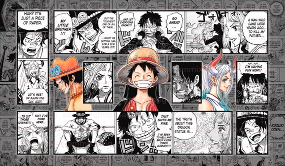 One Piece, Vol. 100 [Book]