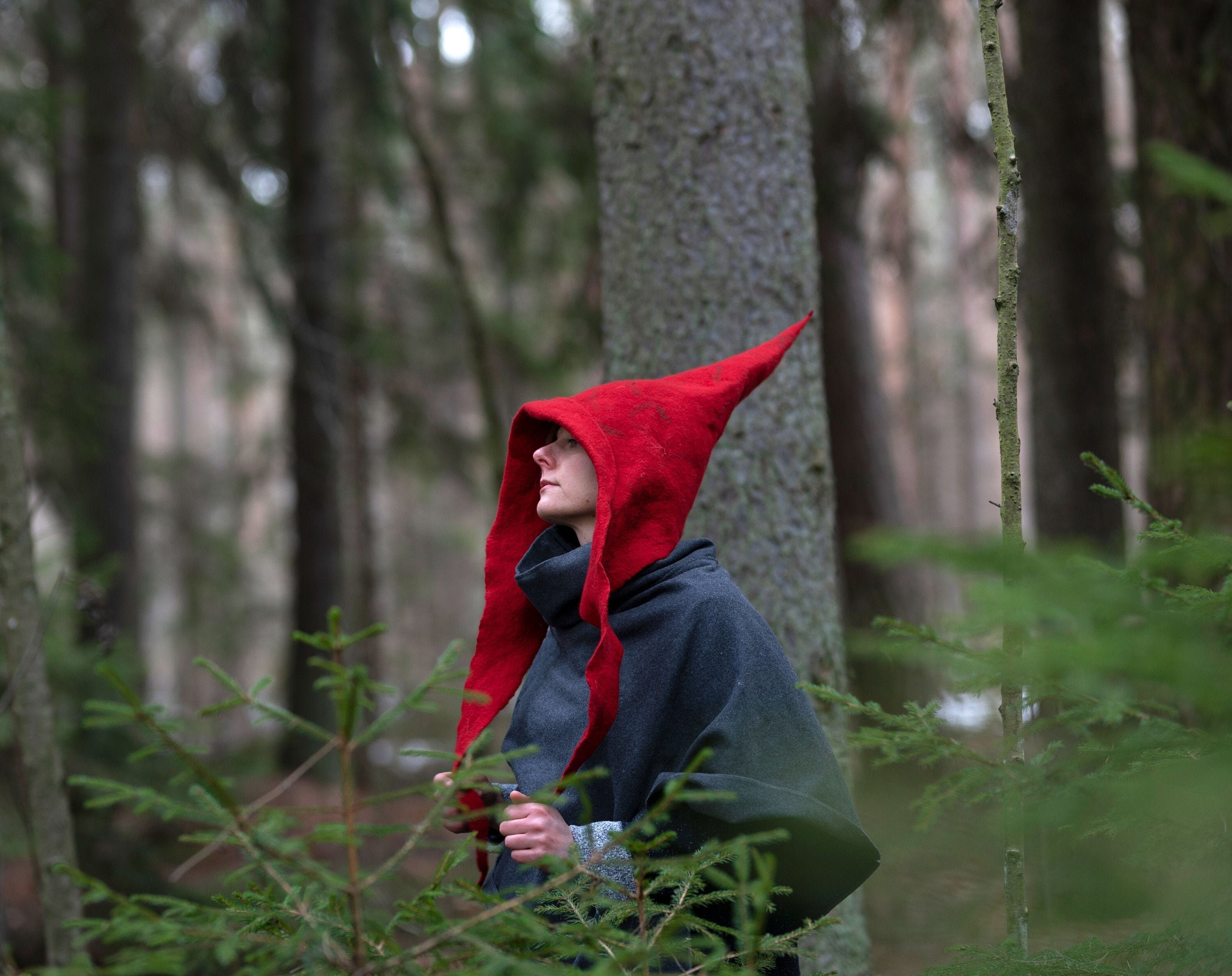Red Witch Wizard Hat | Gnome Hood | Felted Pointy Hood