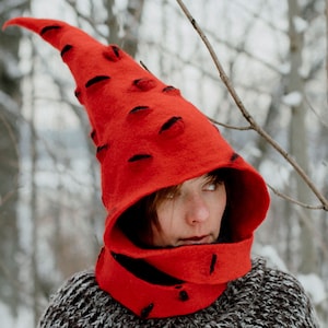 Red Witch Hat | Felted Wool Wizard Costume Hat | Pointy Hat with Thousand Eyes | Gnome Hat for Adults | MADE TO ORDER