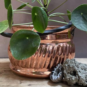 Può includere: Un vaso in rame lucido con corpo scanalato e due manici in metallo nero. Il vaso contiene una pianta verde di Pilea peperomioides. Accanto al vaso si trovano una piccola geode scura e cava e un grappolo di minerali di pirite testurizzato.