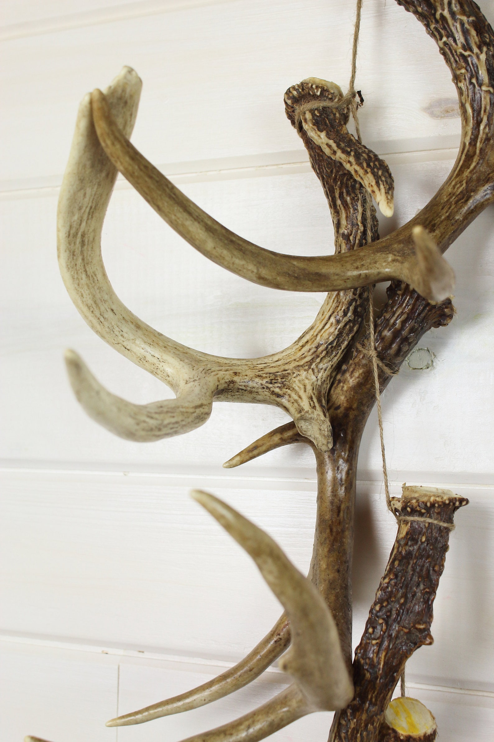 DEER ANTLERS Set of 5 Real Whitetail Deer Antlers Etsy
