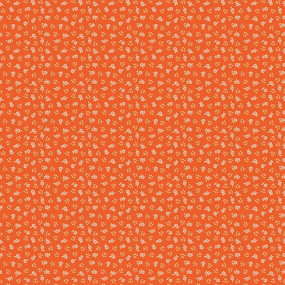 Peach Cobbler by Lily Ashbury-C17425-Meadow Orange- Riley Blake- Cotton Quilting Fabric- Lane to Grace