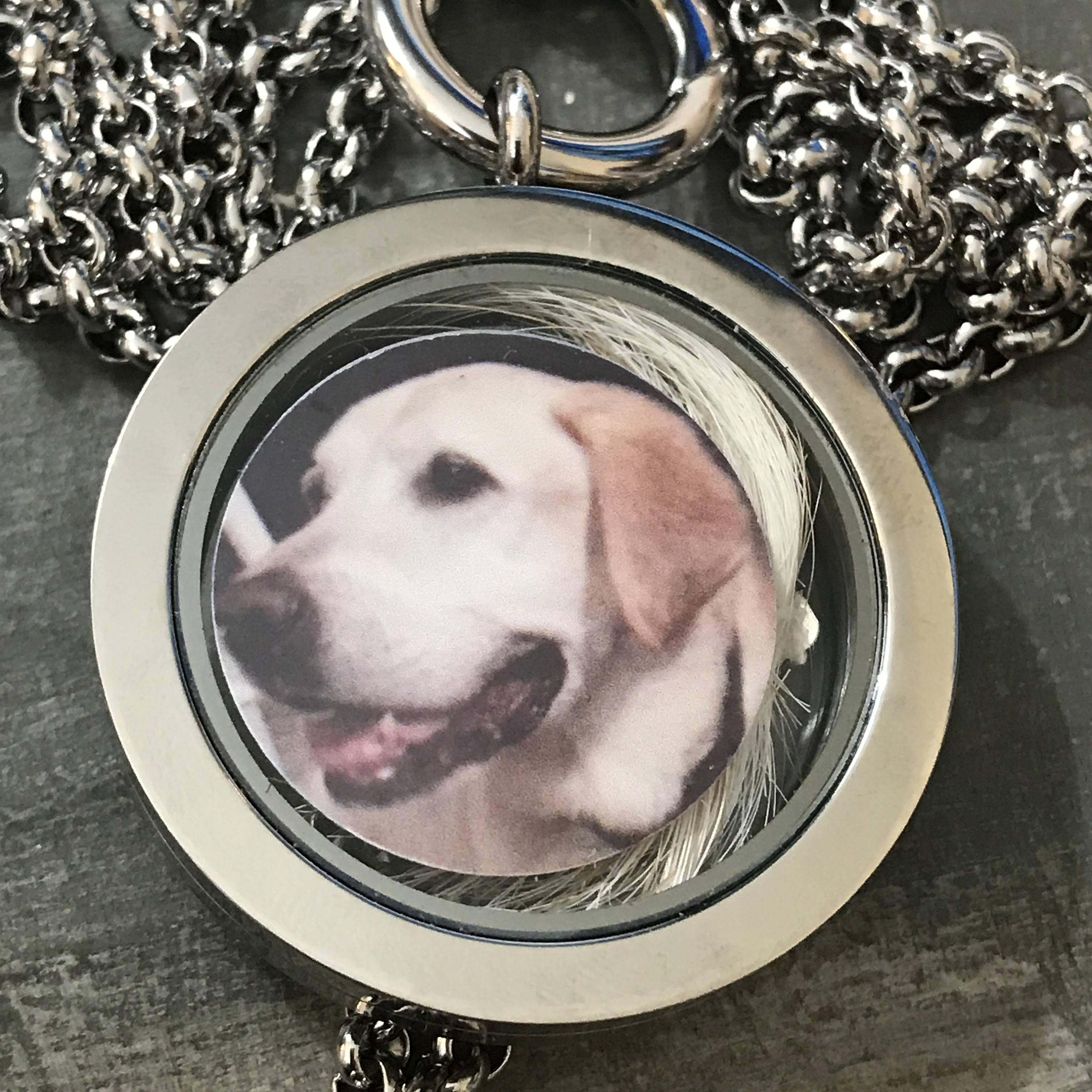Rainbow bridge lock of fur necklace pet memorial floating locket
