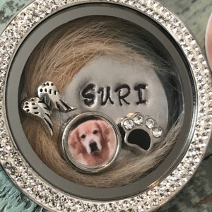 Rainbow bridge lock of fur necklace pet memorial floating locket- stainless steel-photo charm