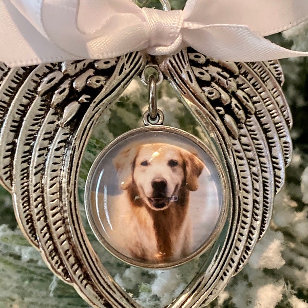 Rainbow bridge ornament  3D glass picture angel wing picture pet memorial Ornament