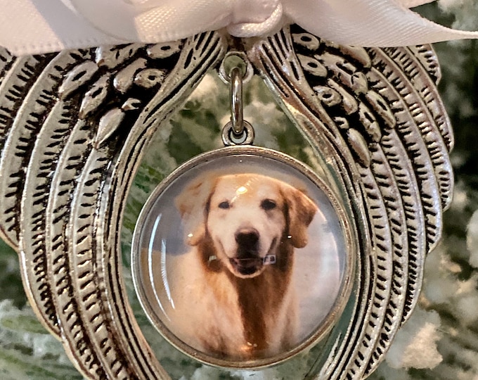 Rainbow bridge ornament  3D glass picture angel wing picture pet memorial Ornament