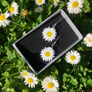 Daisy acrylic earrings