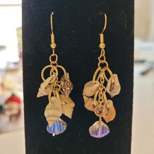 Sea Shell Drop Earrings