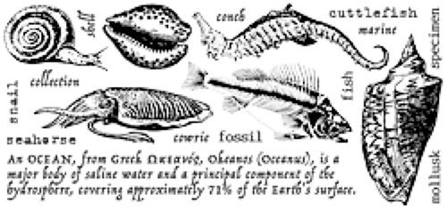 Unmounted Sheet of Rubber Stamps - Sea Life