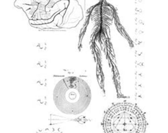 Unmounted Rubber Stamp – Antique Scientific Background