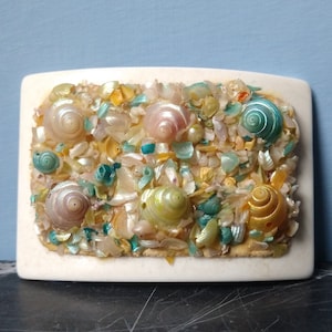 Shell Clip Miniature Shell Cluster on a Hair clip Pocket Brooch Scarf Clip shoe clip